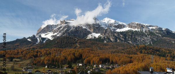 SplendidDiningAreaWindow